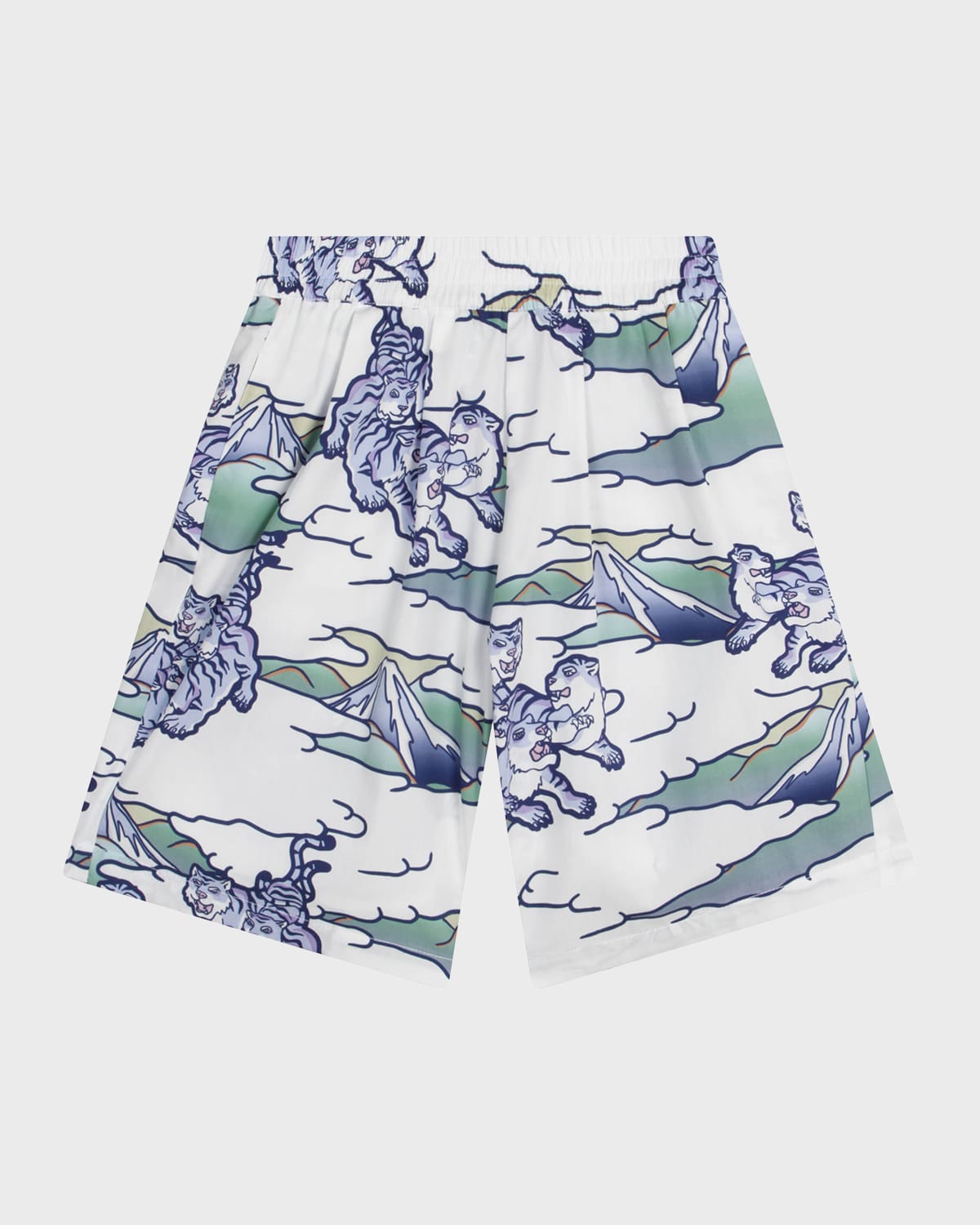 Boy's Mount Fugi Print Bermuda Shorts, Size 6-12