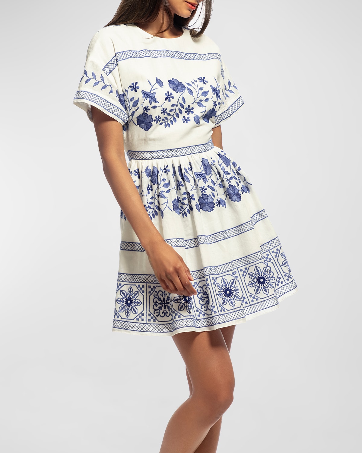 Amparo Floral-Embroidered A-Line Mini Dress