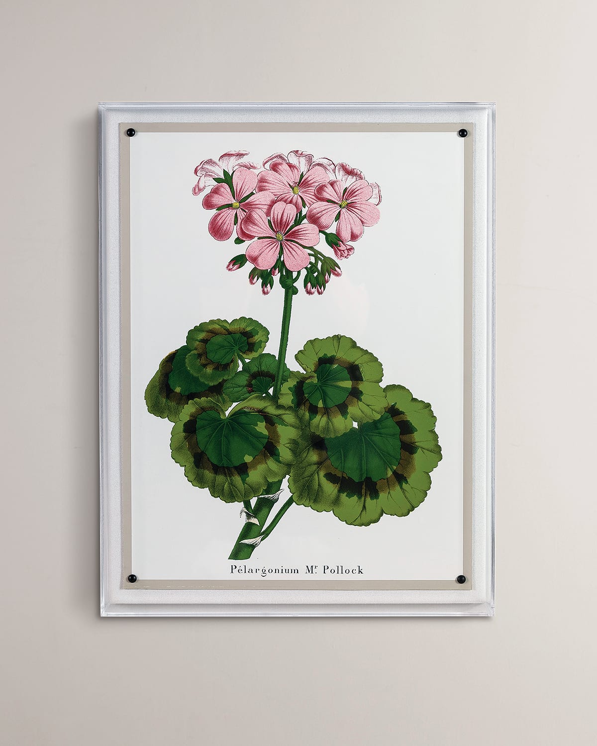Port 68 Geranium Ii Giclee Print