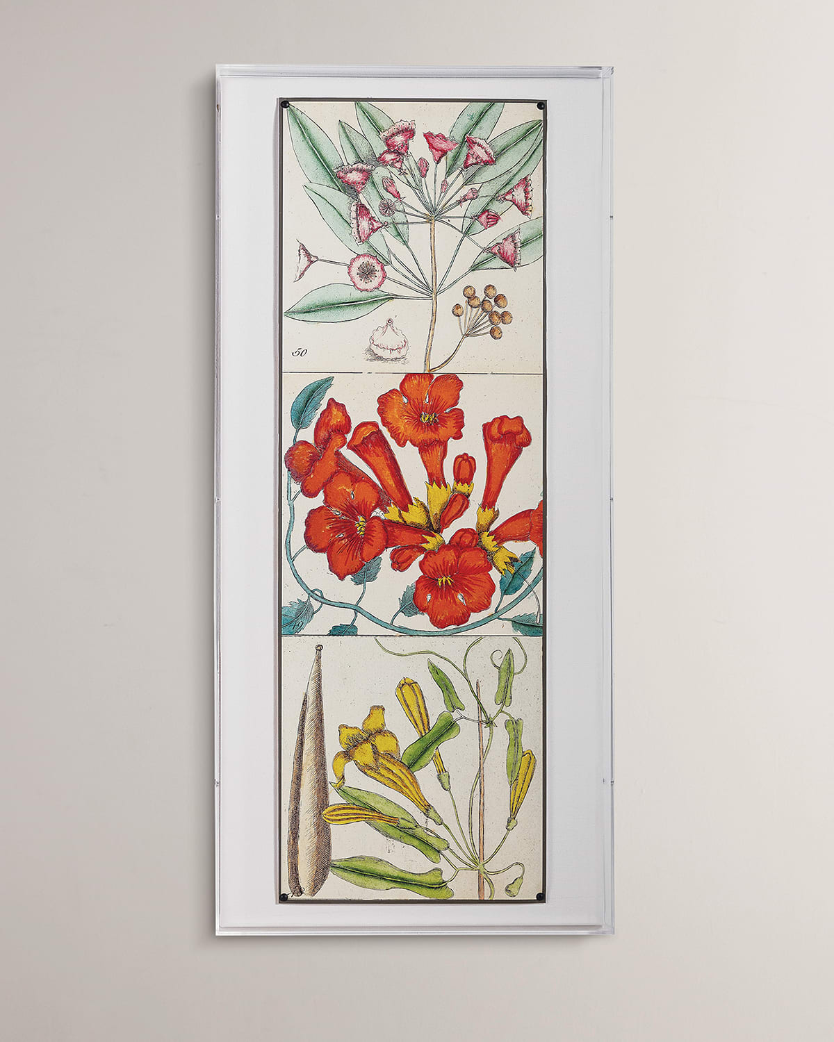 Port 68 Catesby Botanical Ii Giclee Print