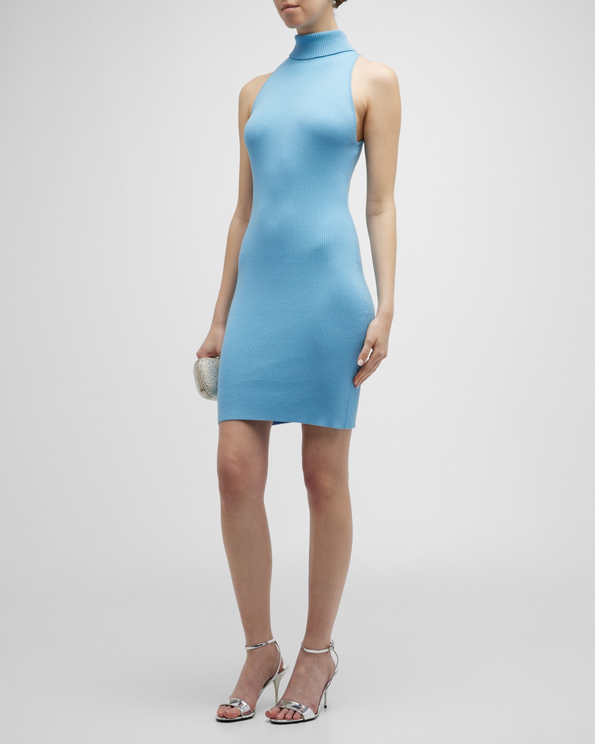 Gia Ribbed Turtleneck Mini Dress