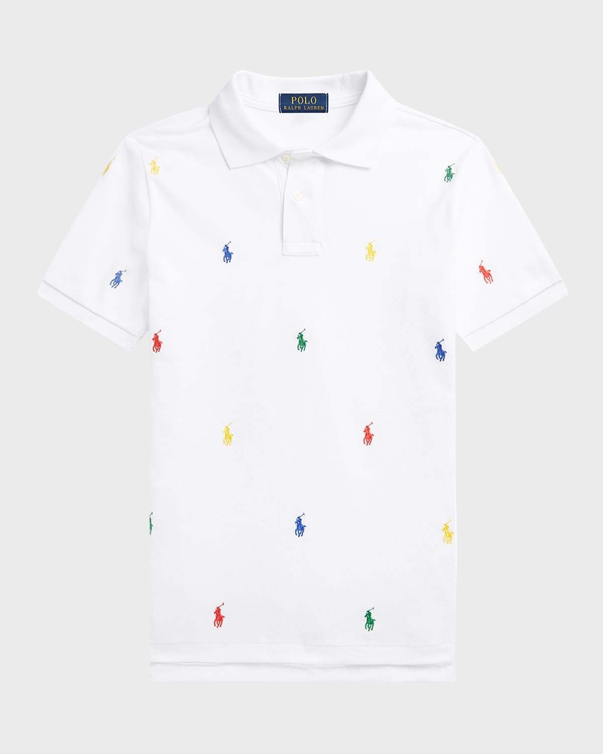 Boy's Multicolor Embroidered Pony Polo Shirt, Size 2-4