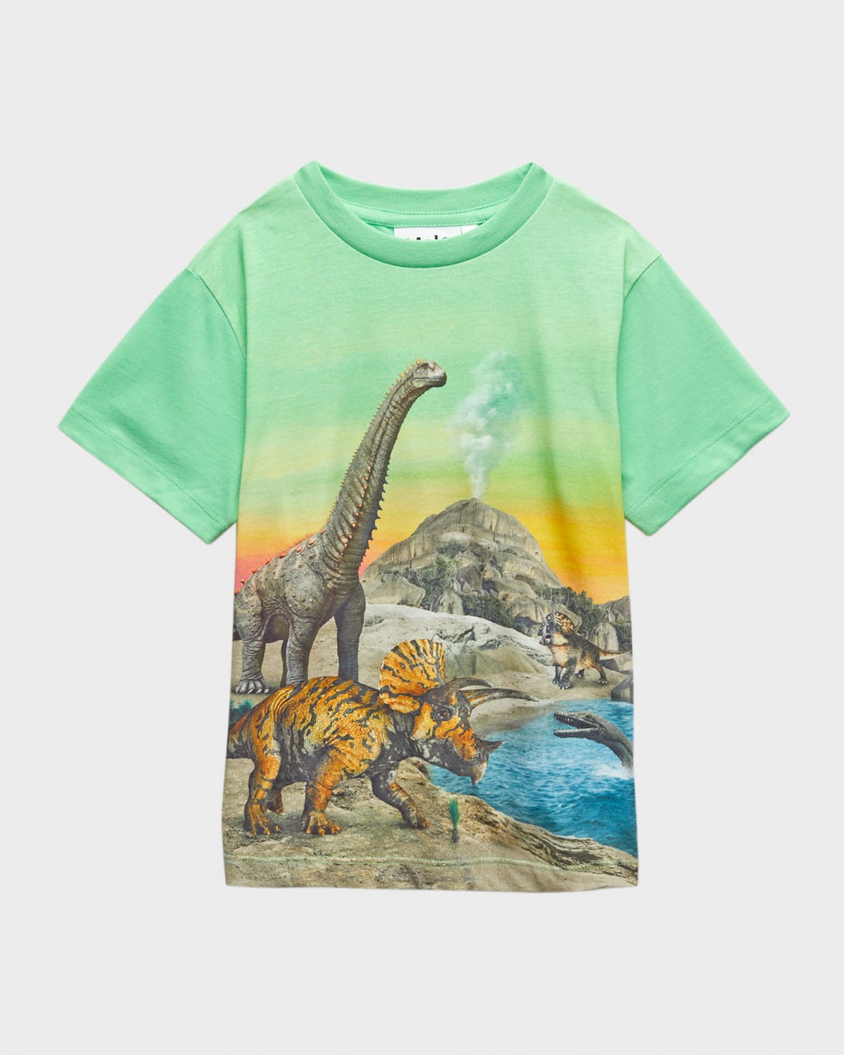 Molo Teen Boys Green Cotton Dinosaur T-shirt