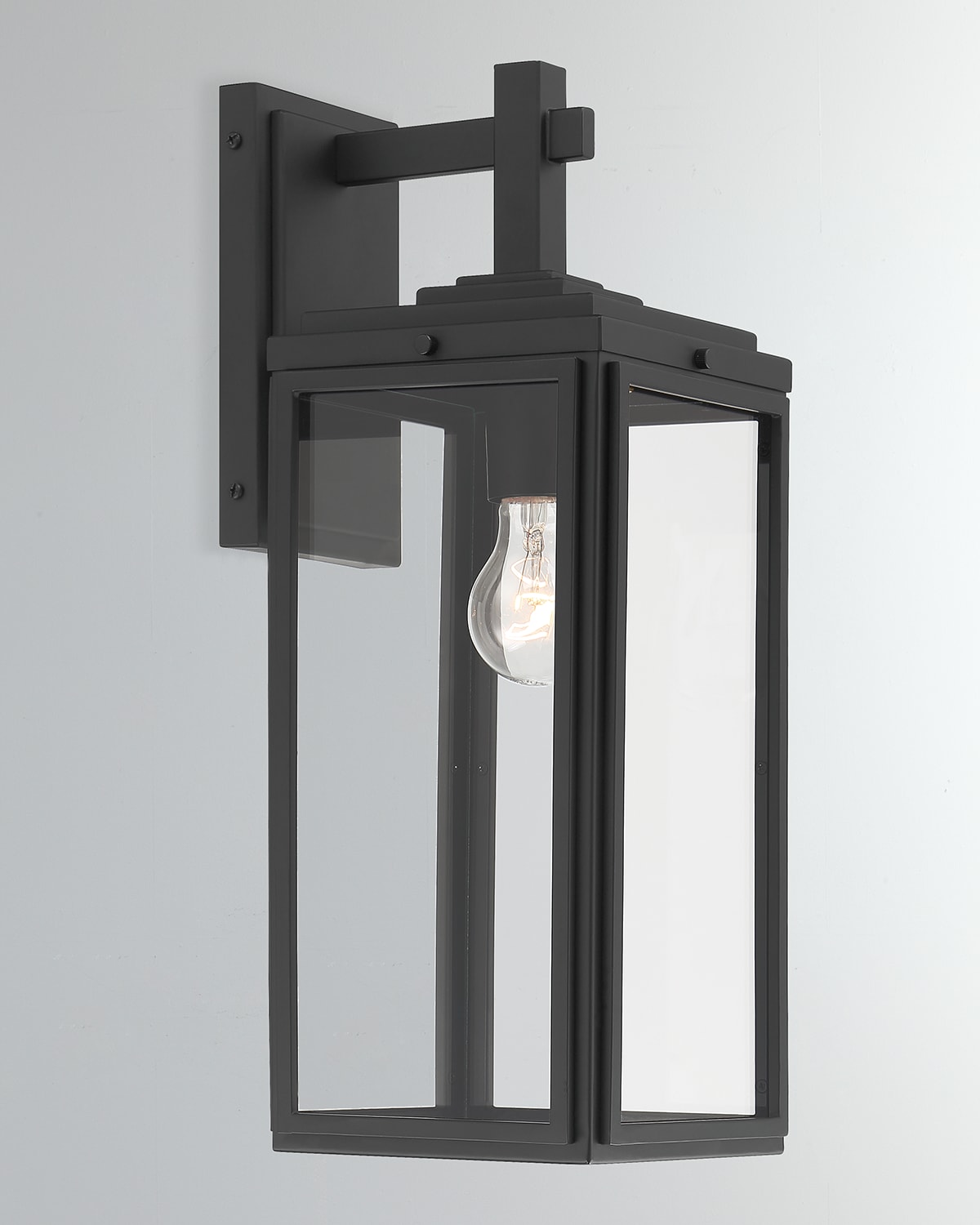 Crystorama Byron 1-light Outdoor Wall Mount In Black
