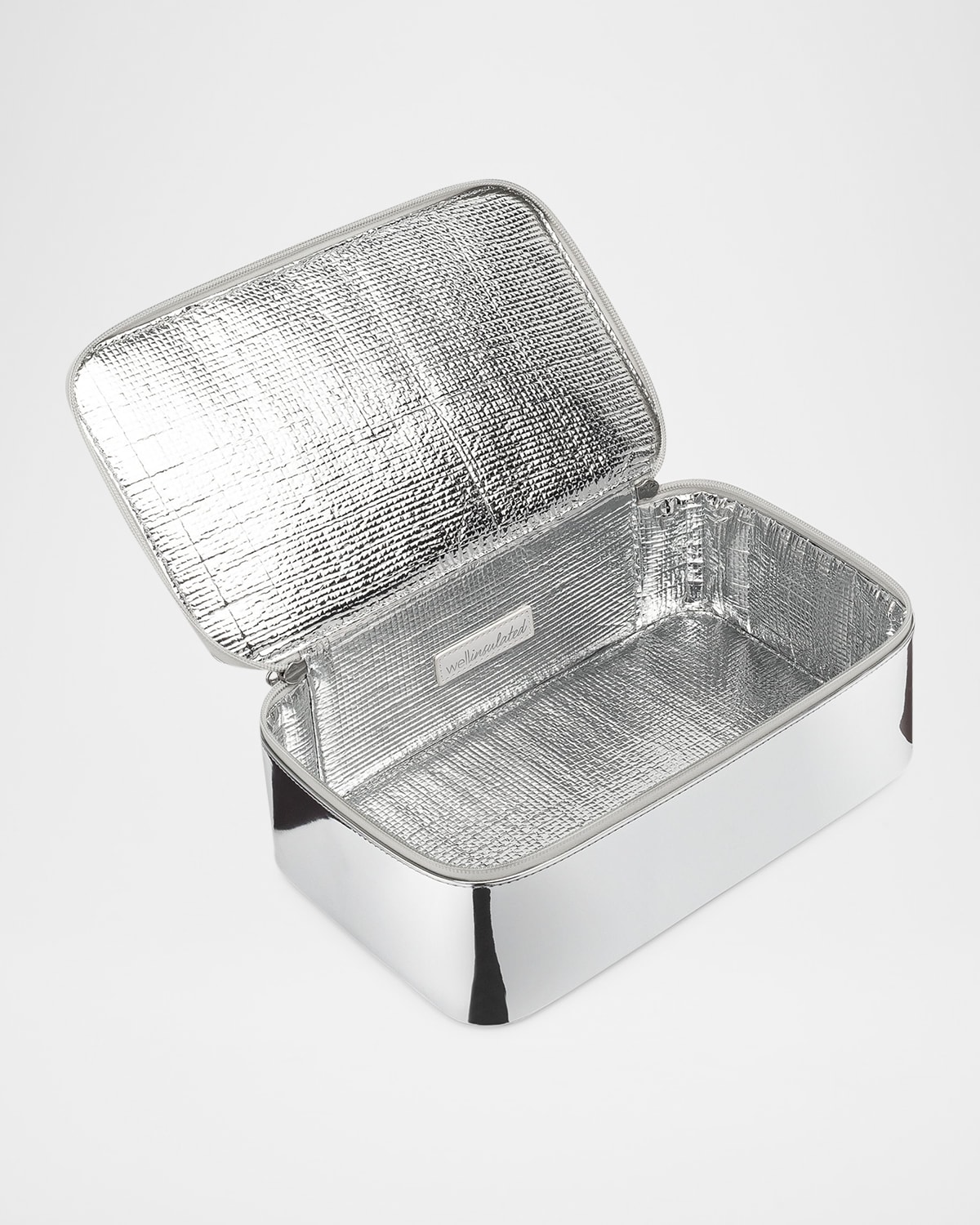 Wellinsulated Performance Travel Case In Silver