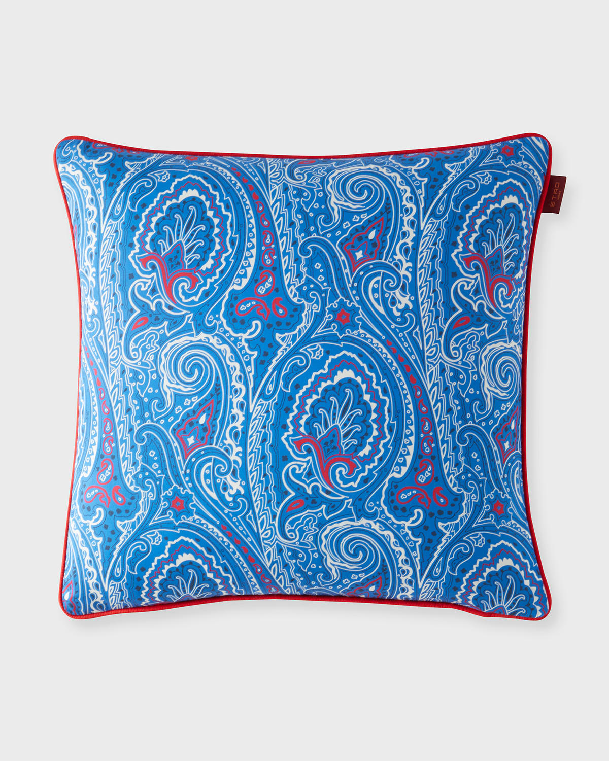 Etro Bardot Pillow In Blue