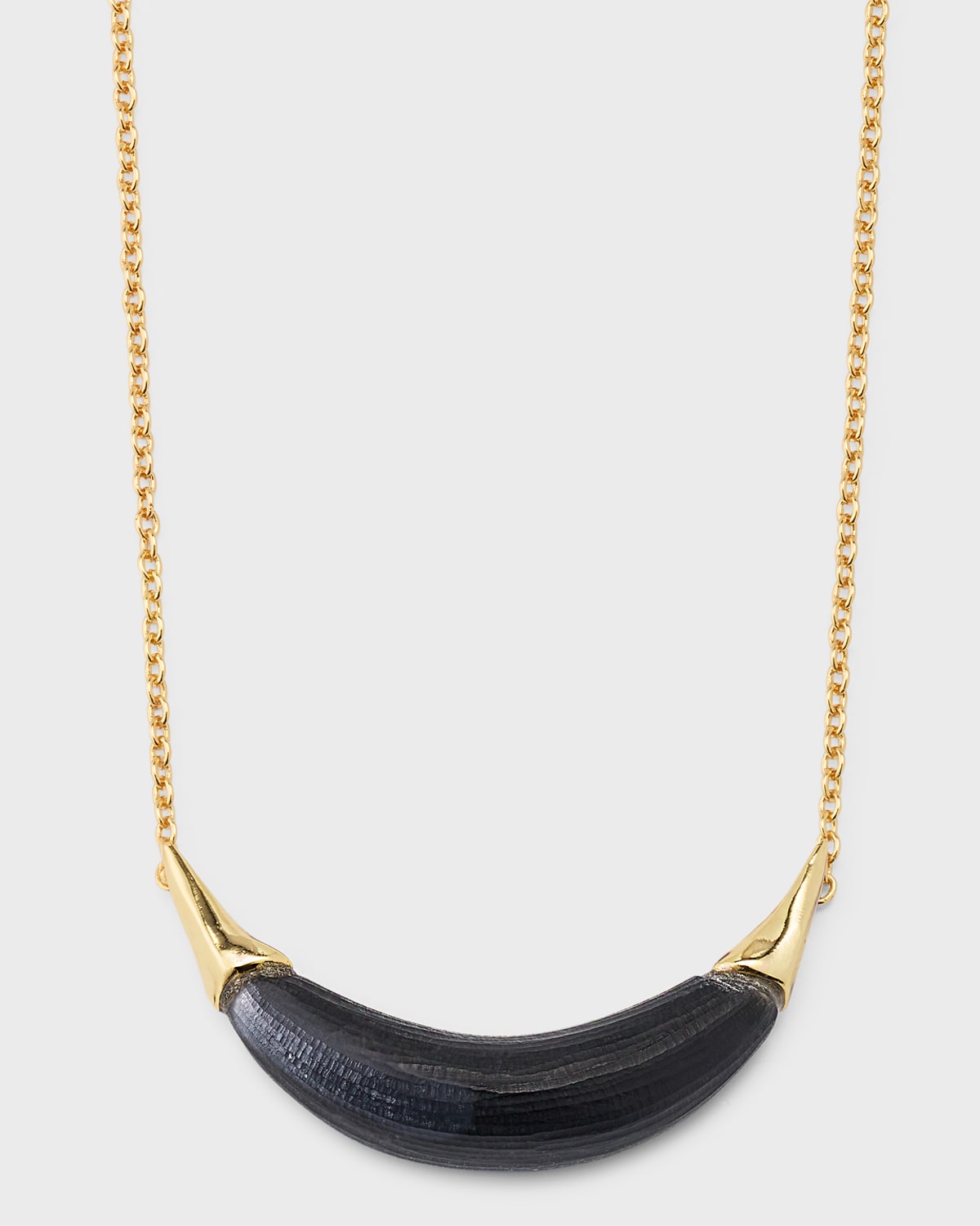 Alexis Bittar Gold-capped Crescent Lucite Necklace In Black
