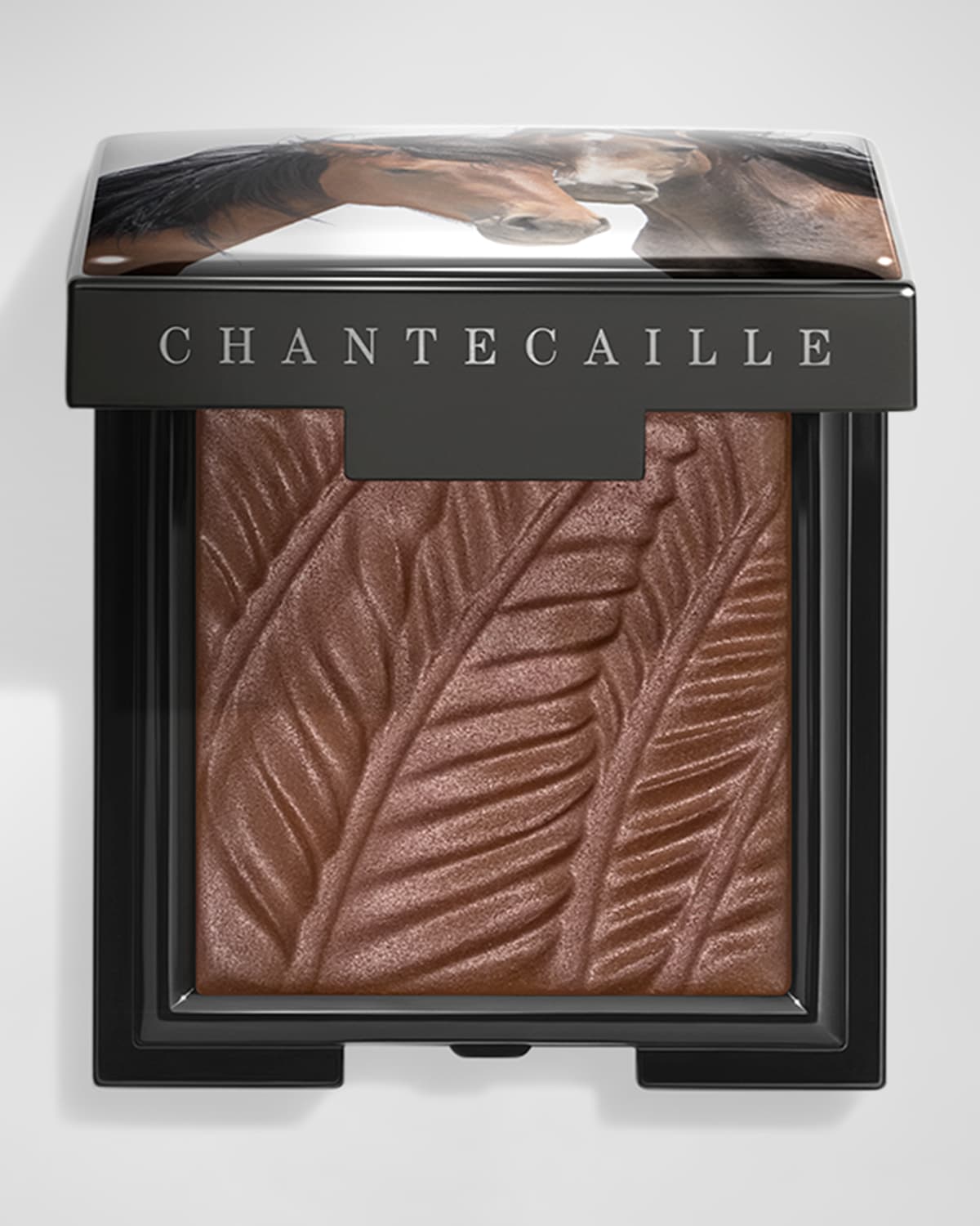 Chantecaille Limited Edition Matte Eye Shade, Wild Mustangs Collection In Brown