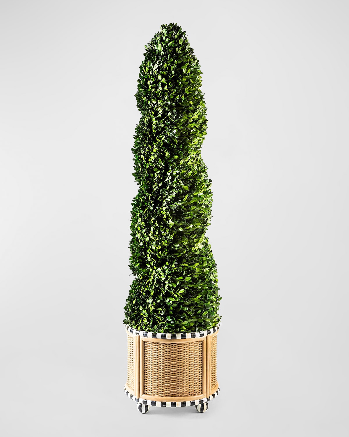 Mackenzie-childs Large Preserved Spiral Boxwood Topiary In Basketweave Base - 55" In Green