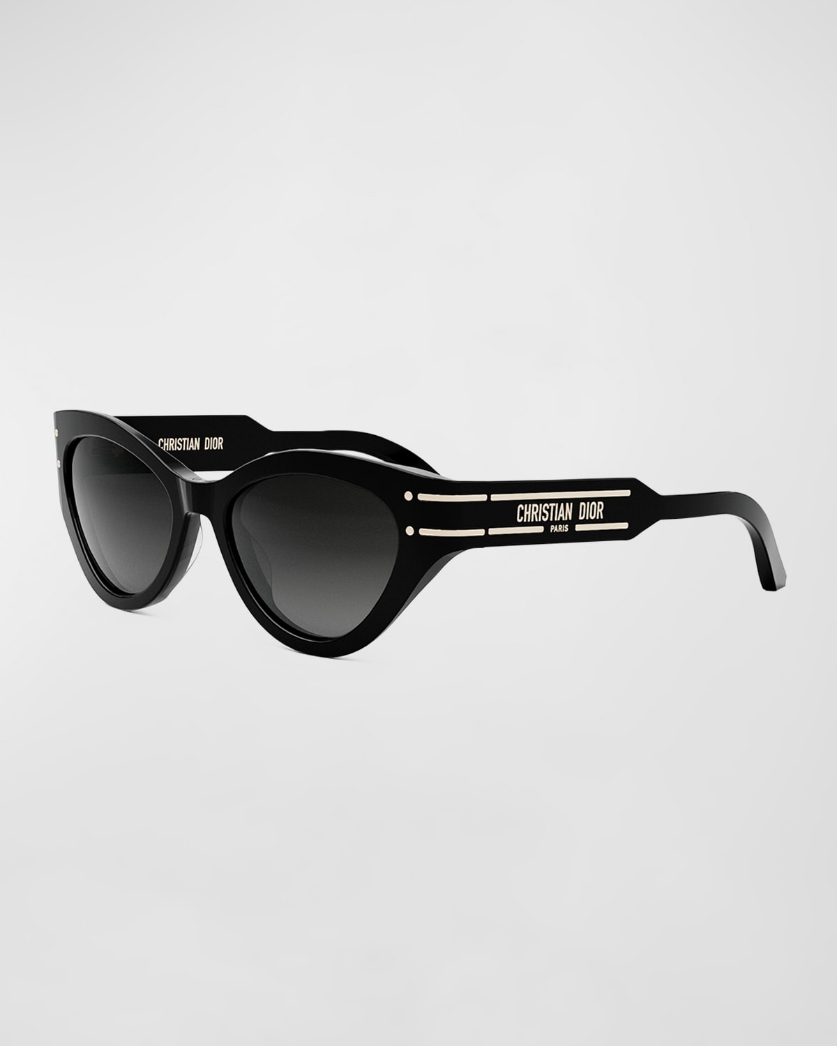 Dior Signature B7i Sunglasses In Black