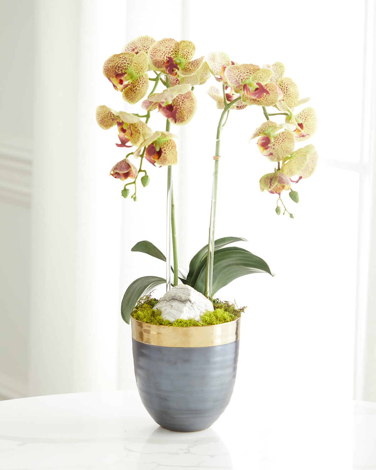 T & C Floral Company Double Orchid Faux Florals In Gold-rimmed Ceramic Pot With Zebra Stone - 22" In Blue