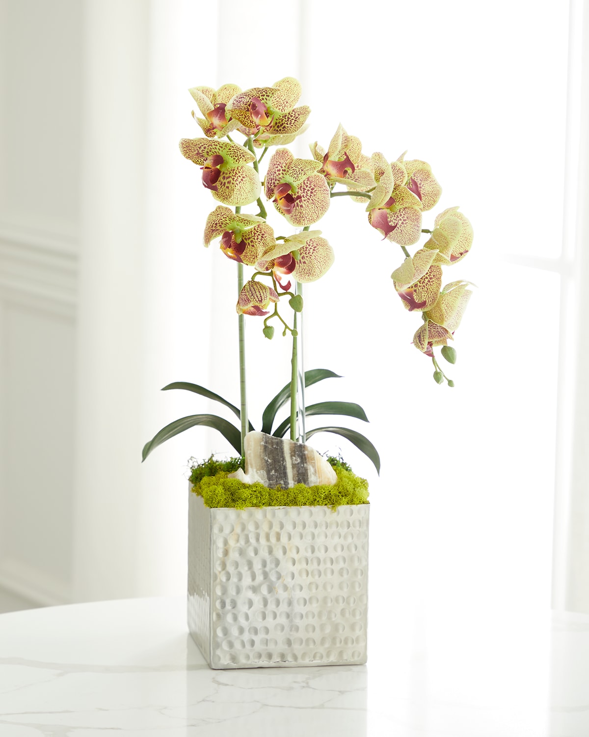 Shop T & C Floral Company Double Orchid Faux Florals In Silver Hammered Metal Container With Zebra Stone - 22" In Green