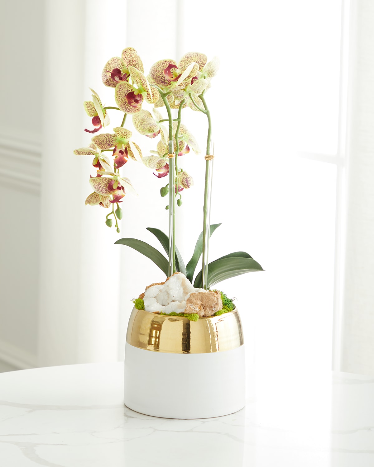 Shop T & C Floral Company Double Orchid Faux Floral In Gold-rimmed Ceramic Container - 22" In White