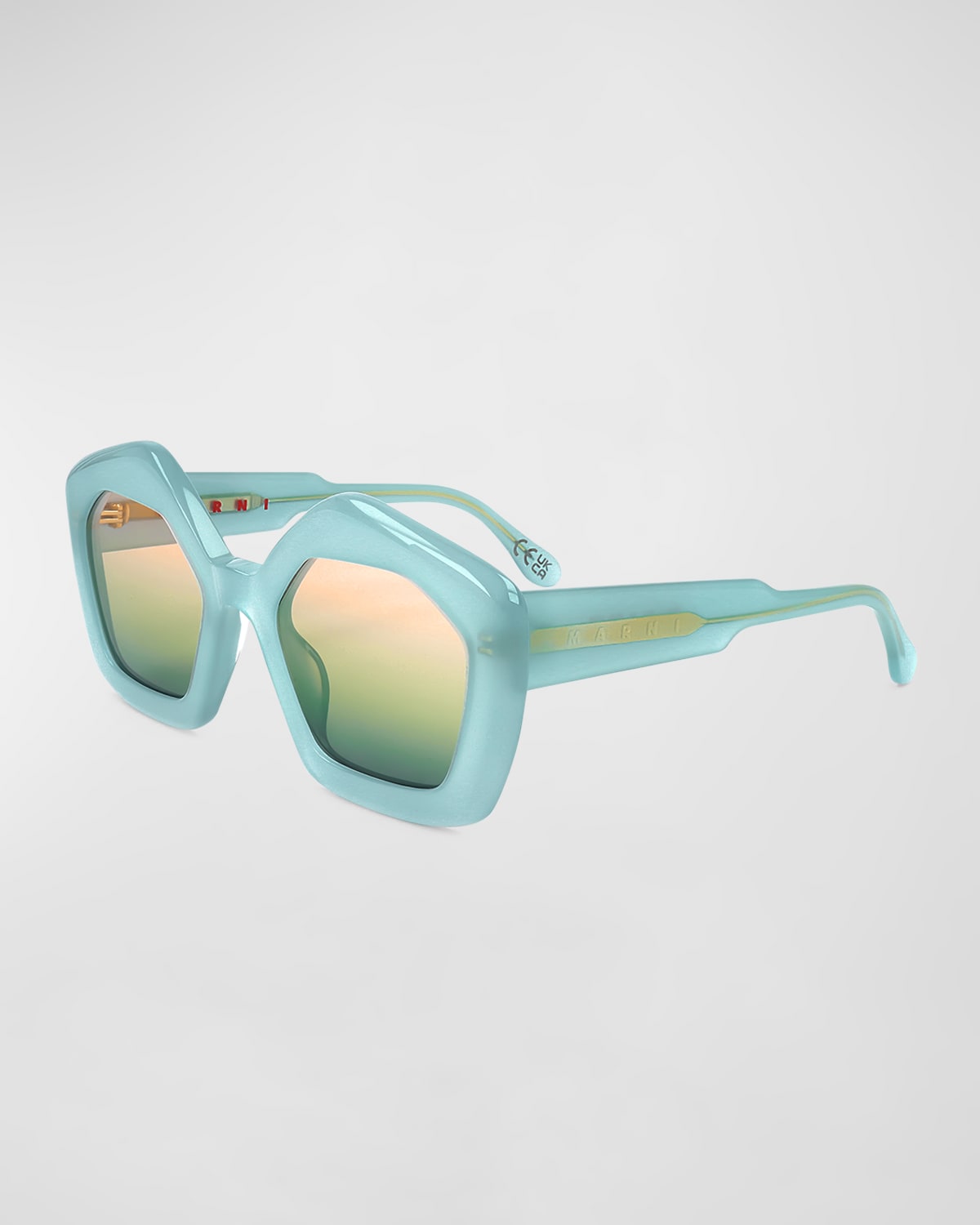 Logo Acetate Butterfly Sunglasses