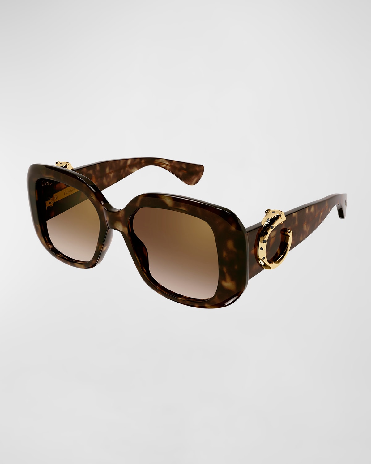 Panther-C Acetate Square Sunglasses