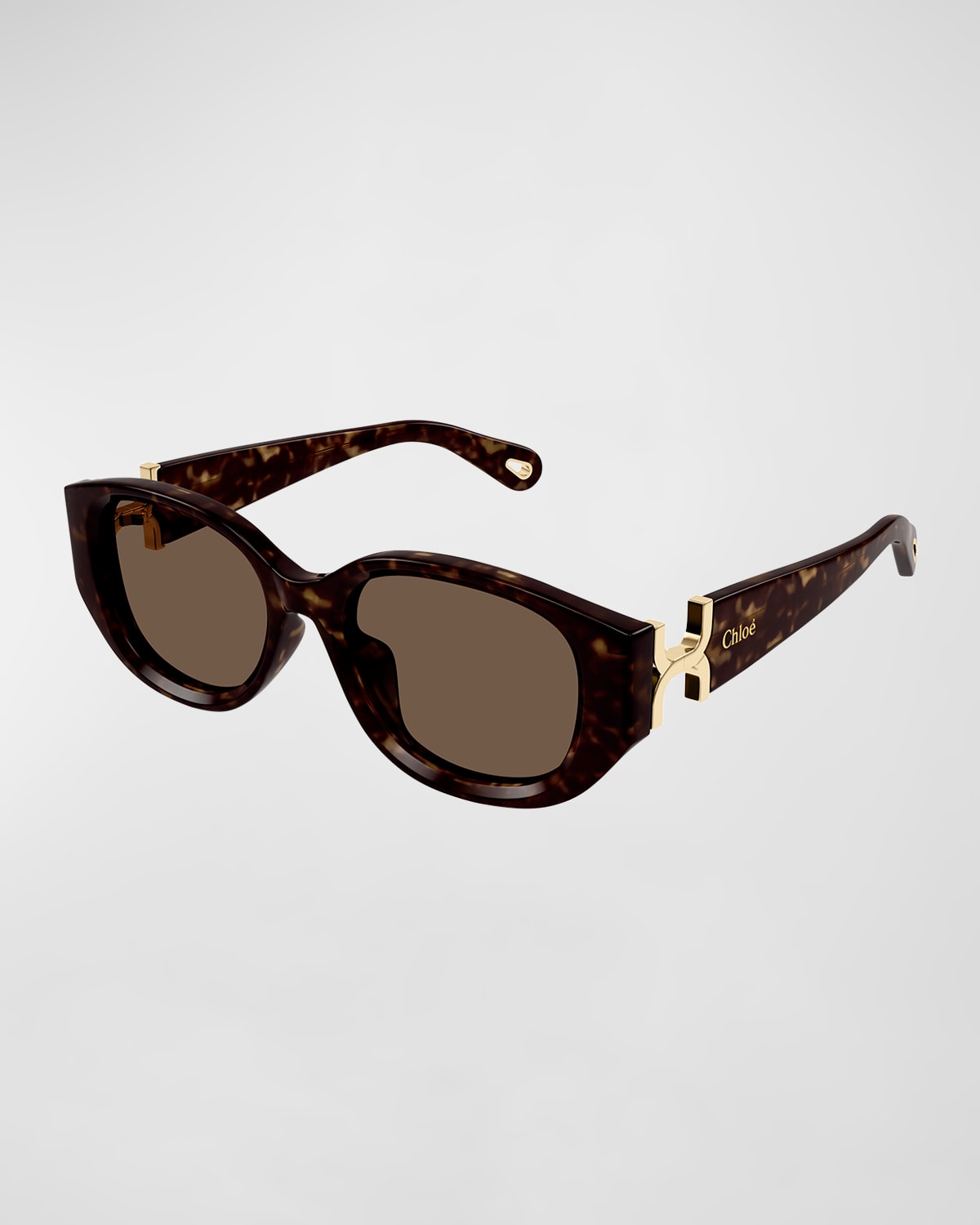 Chloé Logo Beveled Acetate Round Sunglasses In Shiny Dark Havana
