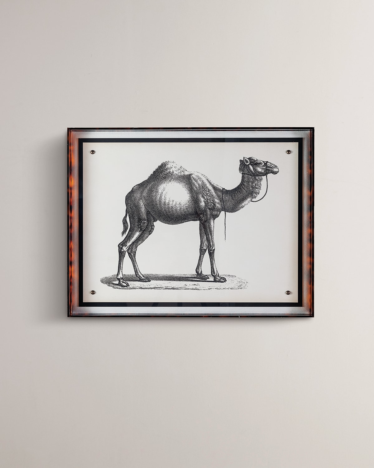 Port 68 Camel Giclee