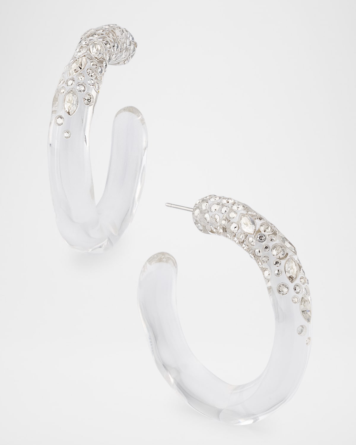 Confetti Crystal Lucite Hoop Earrings