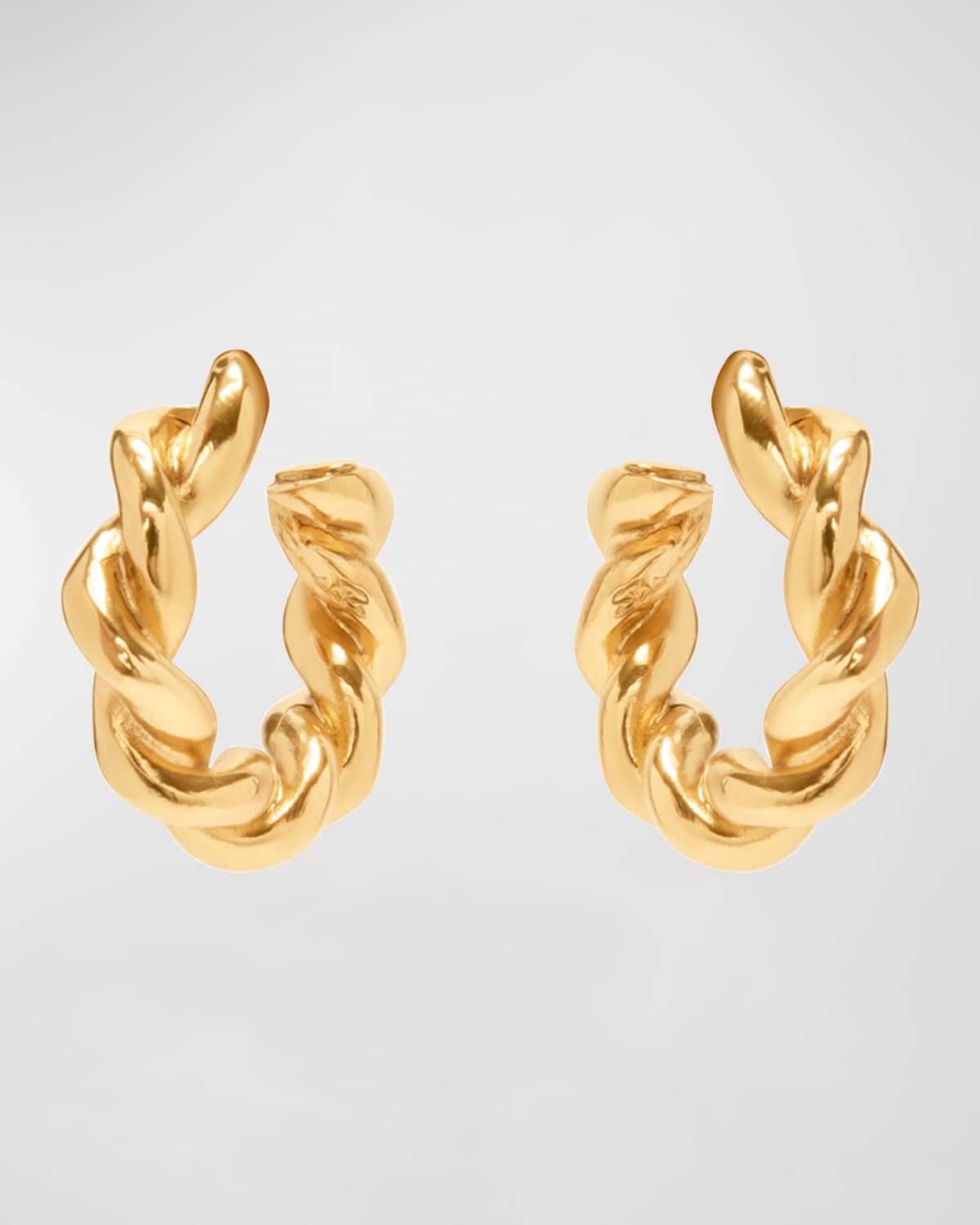 Shop Oscar De La Renta Small Solid Rope Hoop Earrings In Gold
