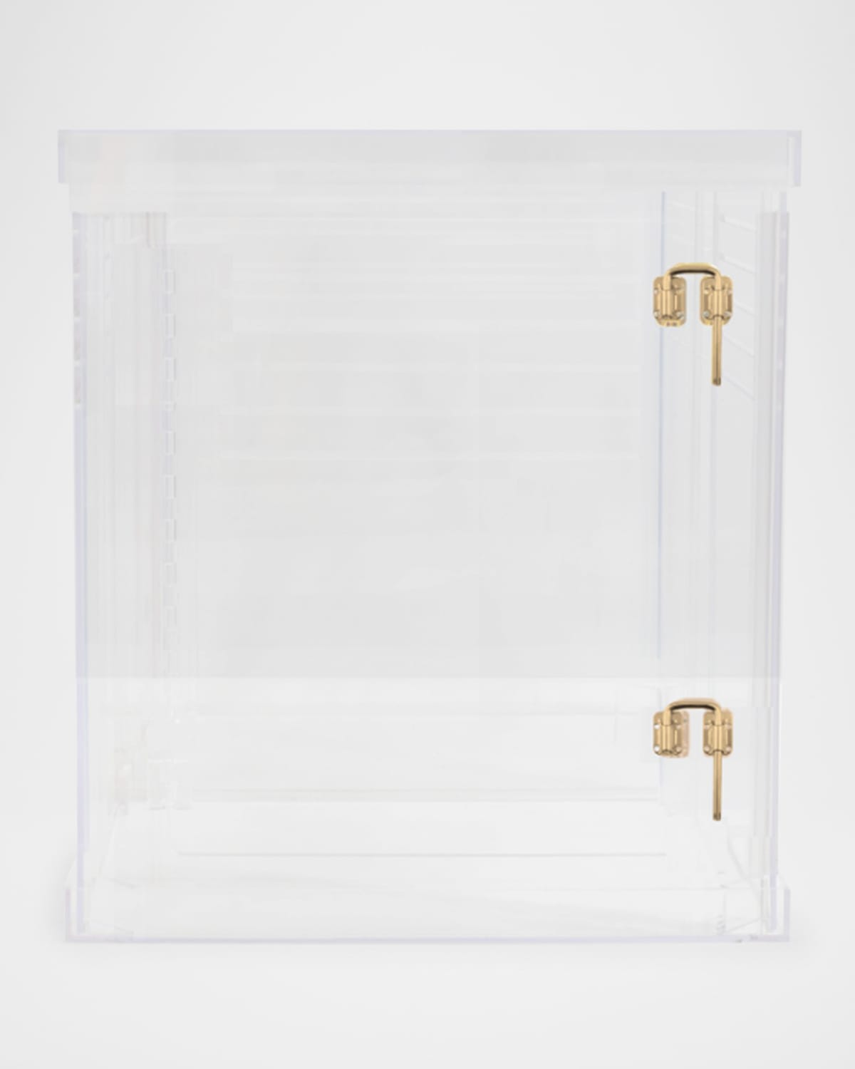 Hiddin Medium Clear View Pet Crate With Golden Latches In Clear