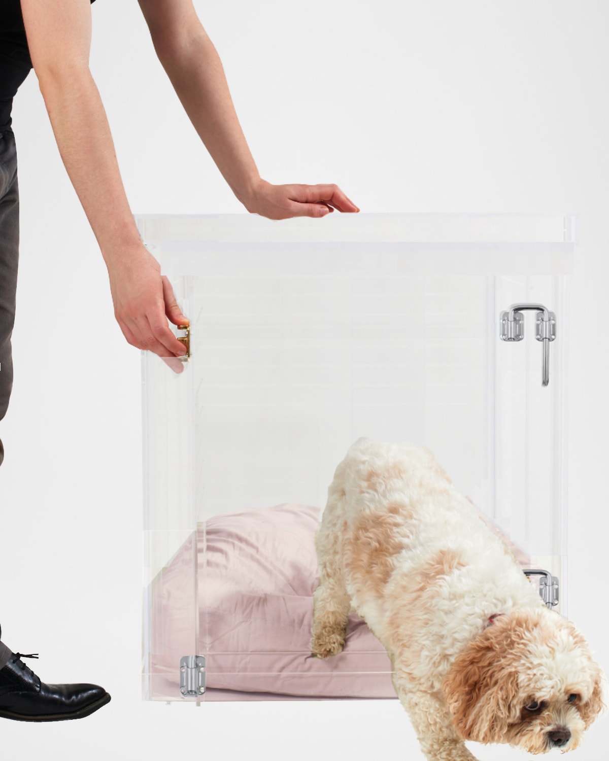 Hiddin Medium Clear View Pet Crate With Silver Latch In Blush