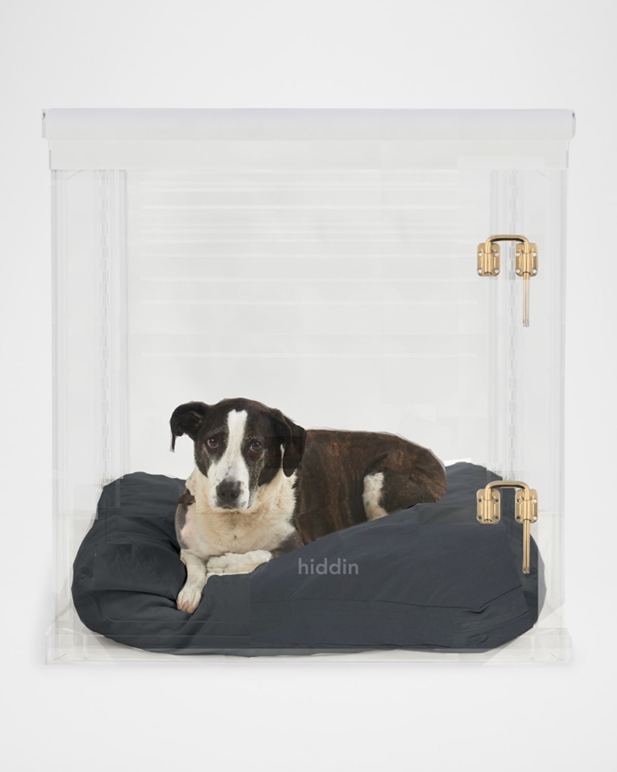 Hiddin Large Clear View Pet Crate With Gold Latch In Charcoal