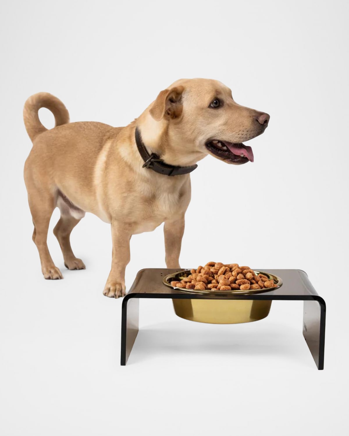 Hiddin Bronze Single Bowl Pet Feeder, 2 Qt Golden Bowl In Gold