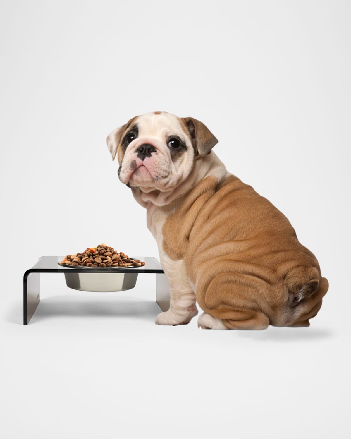 Hiddin Bronze Single Bowl Pet Feeder, 2 Qt Silver Bowl In Silver