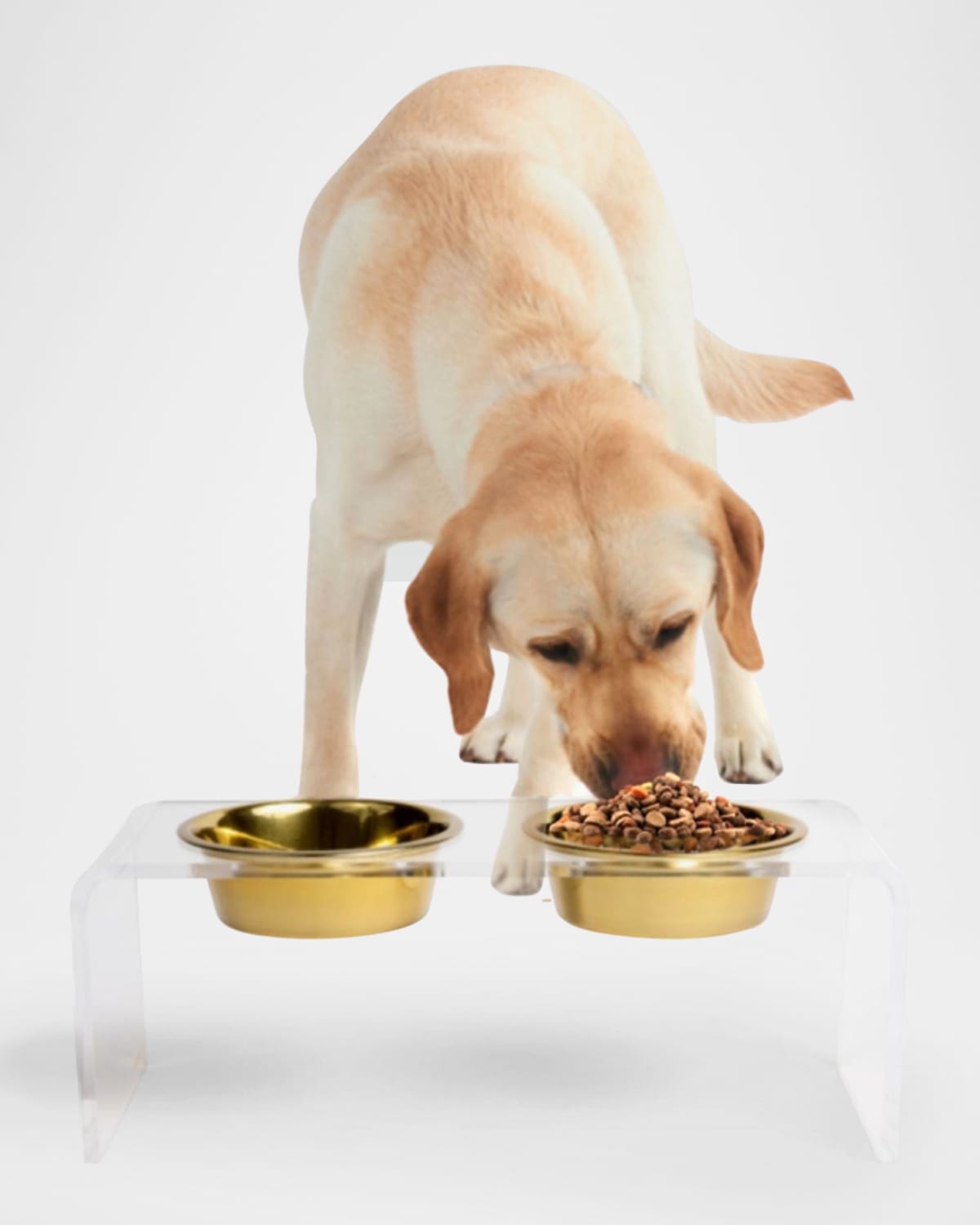 Hiddin Medium Clear Double Golden Bowl Pet Feeder, 1 Qt In Gold