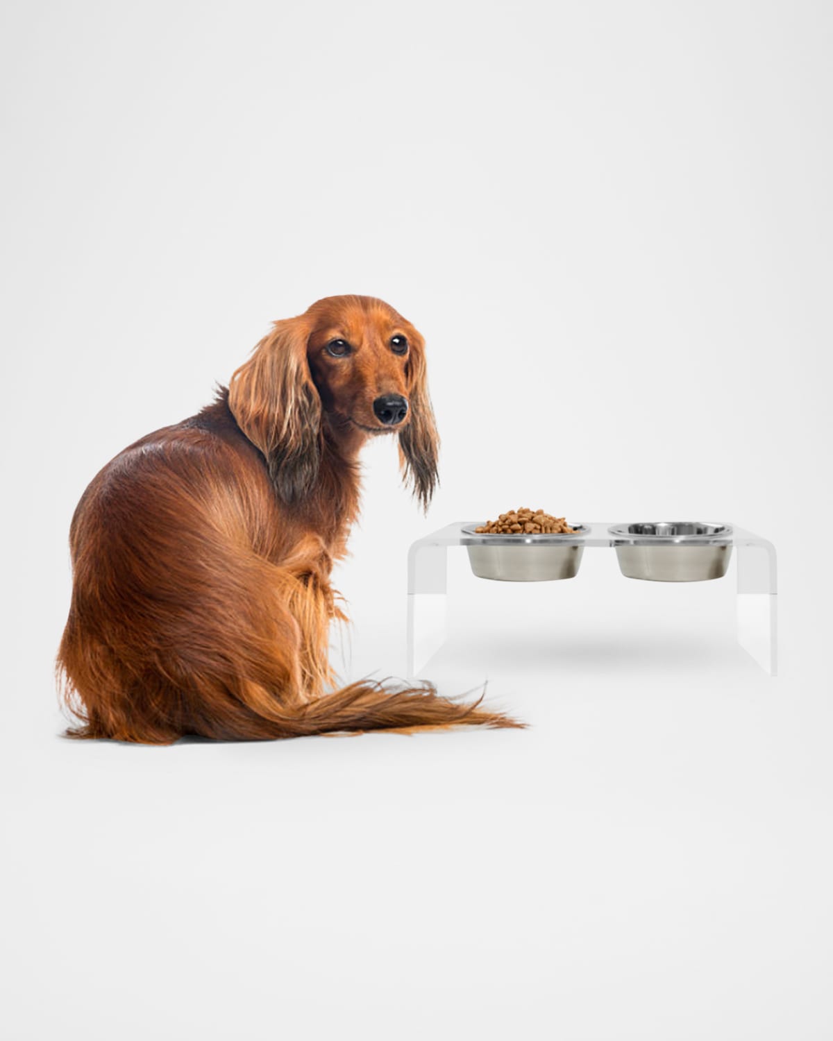 Hiddin Medium Clear Double Bowl Pet Feeder, 1 Quart In Silver