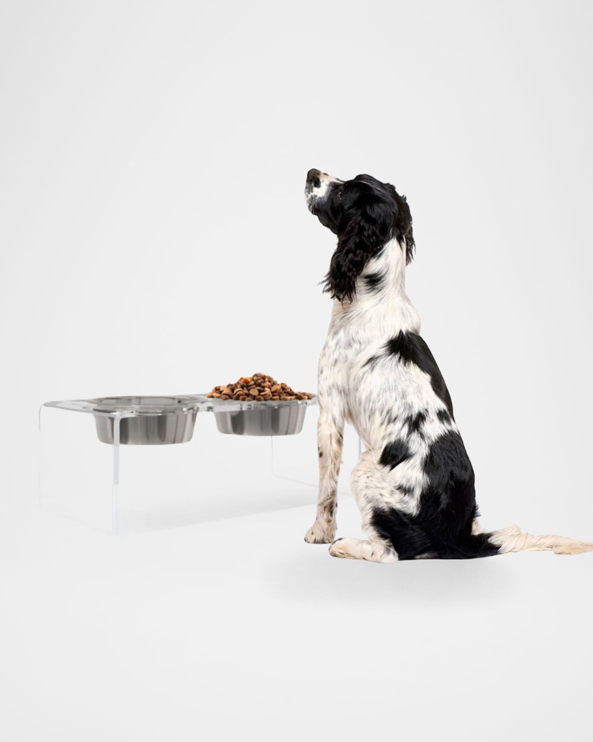 Hiddin Medium Clear Double Bowl Pet Feeder, 2 Quart In Silver