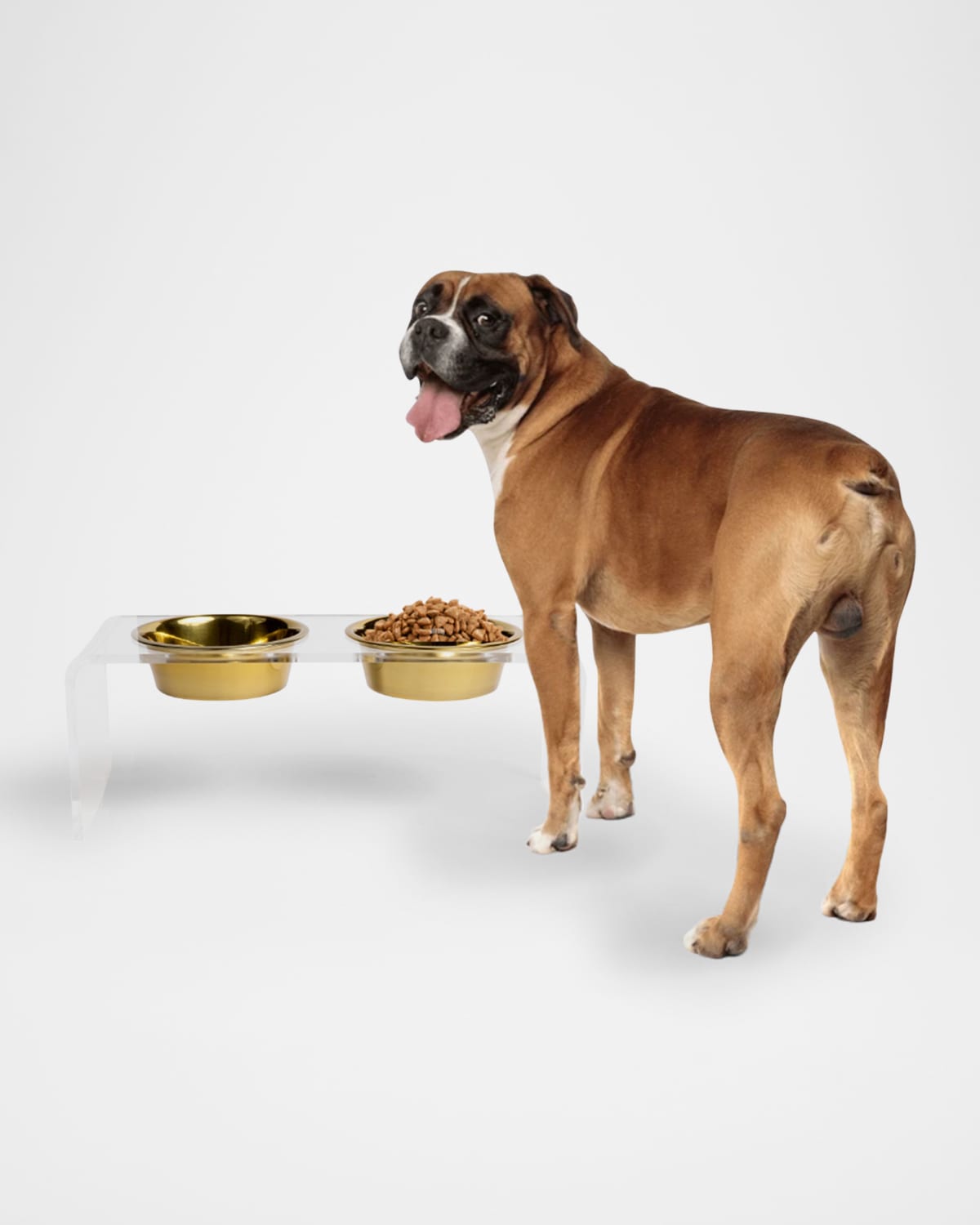 Hiddin Medium Clear Double Bowl Pet Feeder With Gold Bowls In Gold