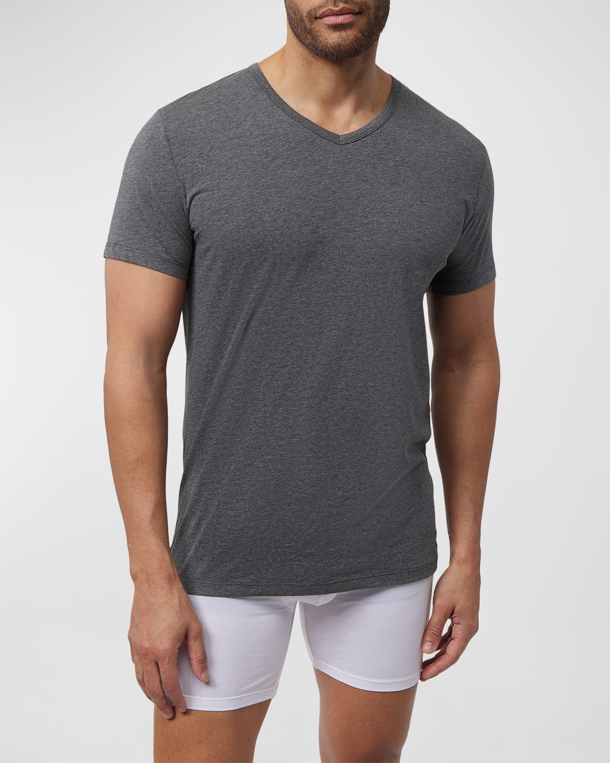 Shop Psycho Bunny Men's 2-pack V-neck T-shirts In Mixed Grey