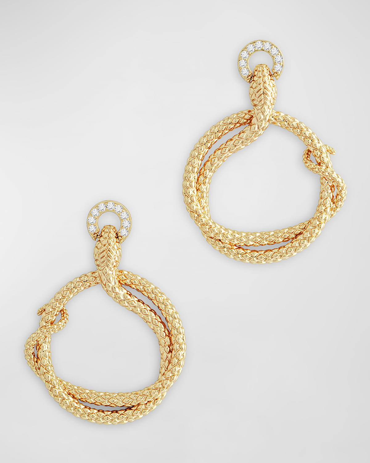 Serpent Holding Ring Hoop Earrings