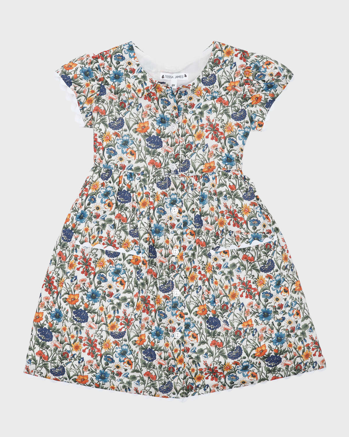 Tessa James Girl's Emma Dainty Floral-print Dress In Multi Floral