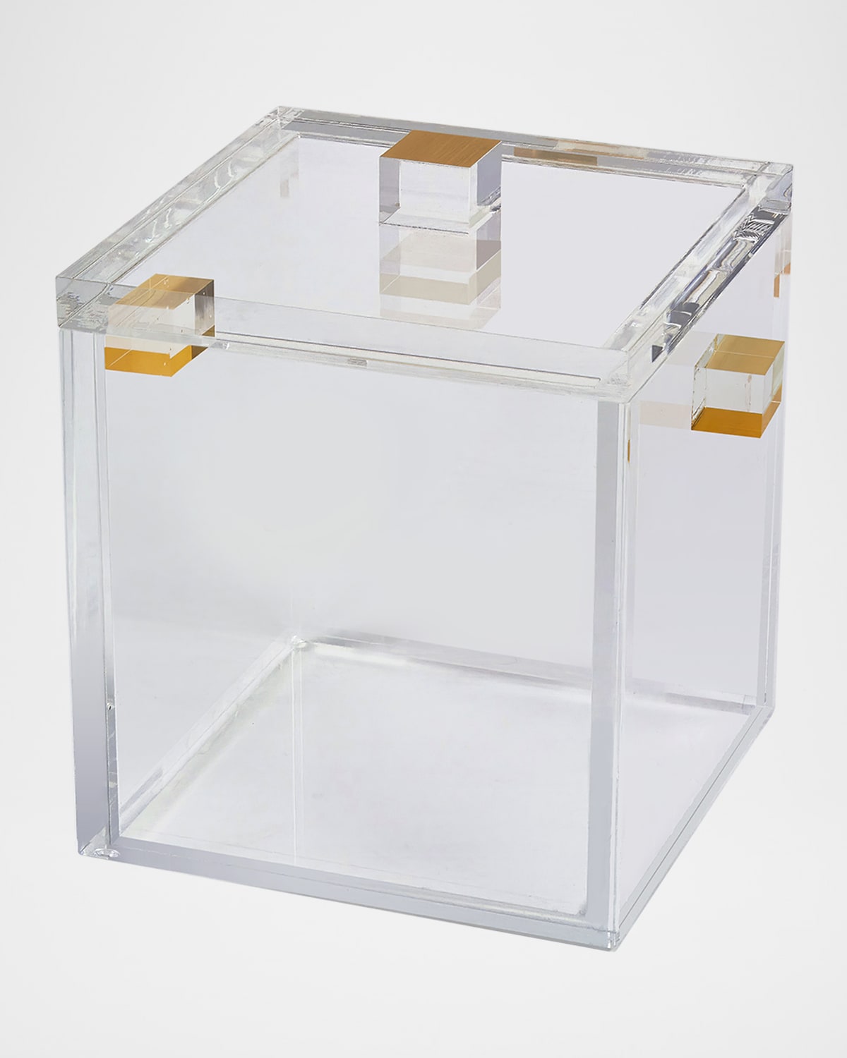 Tizo Lucite Clear Ice Bucket In Gold