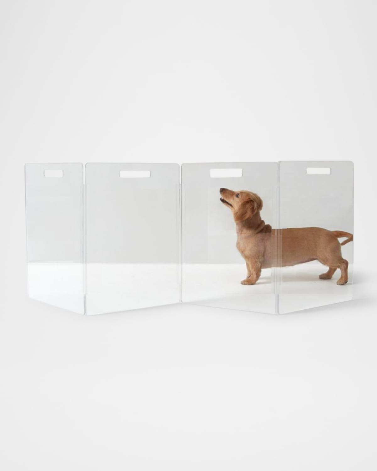 Hiddin Clear 4-panel Low Zig Zag Pet Gate In Clear