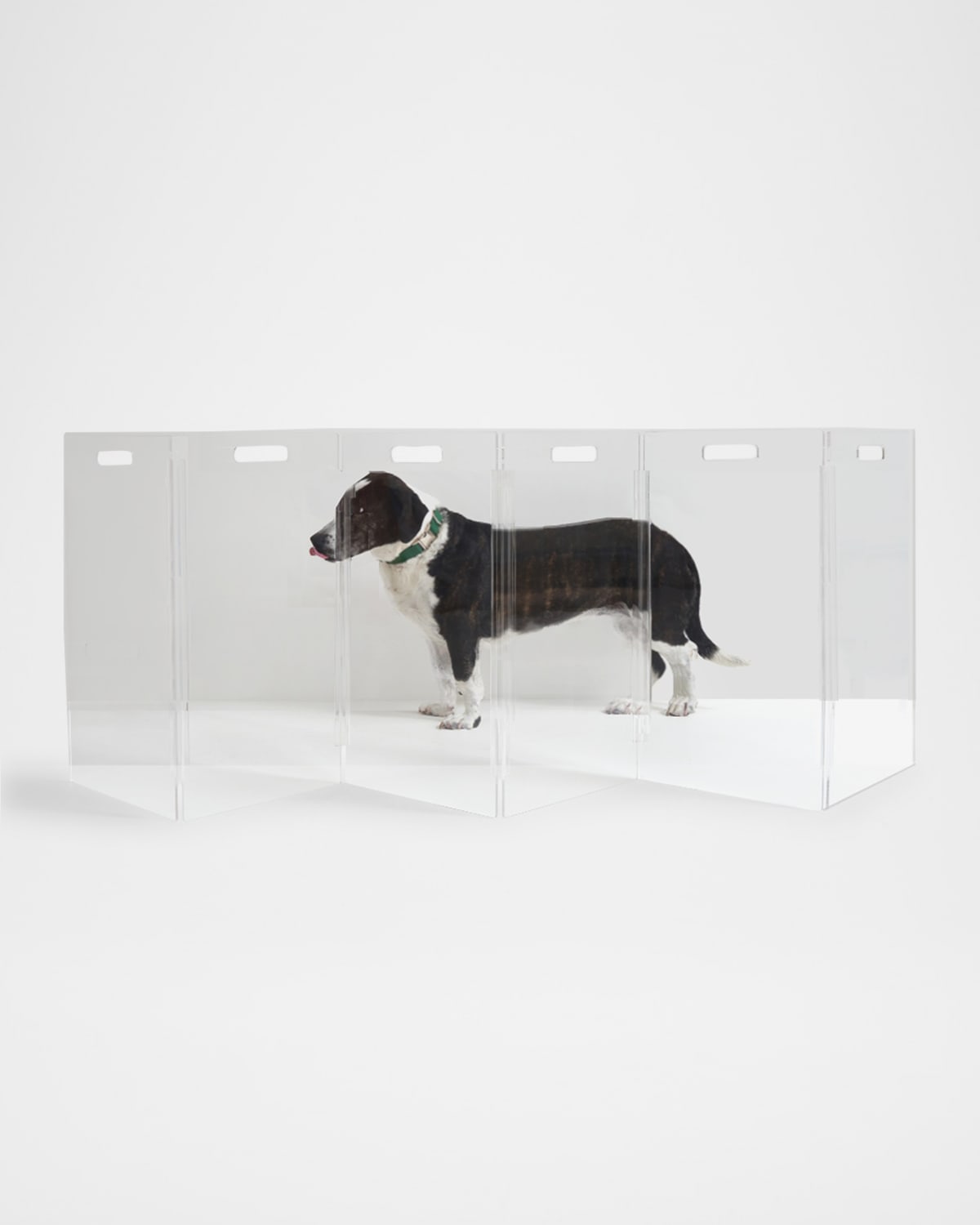 Hiddin Clear 6-panel Low Zig Zag Pet Gate In Clear