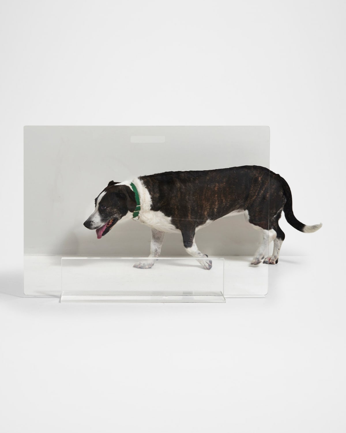Hiddin Clear Free-standing Pet Gate Panel, 36" In Clear