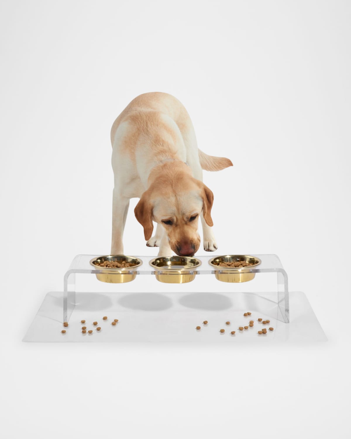 Hiddin Medium Clear Triple Bowl Pet Feeder, 2 Quarts In Clear/gold