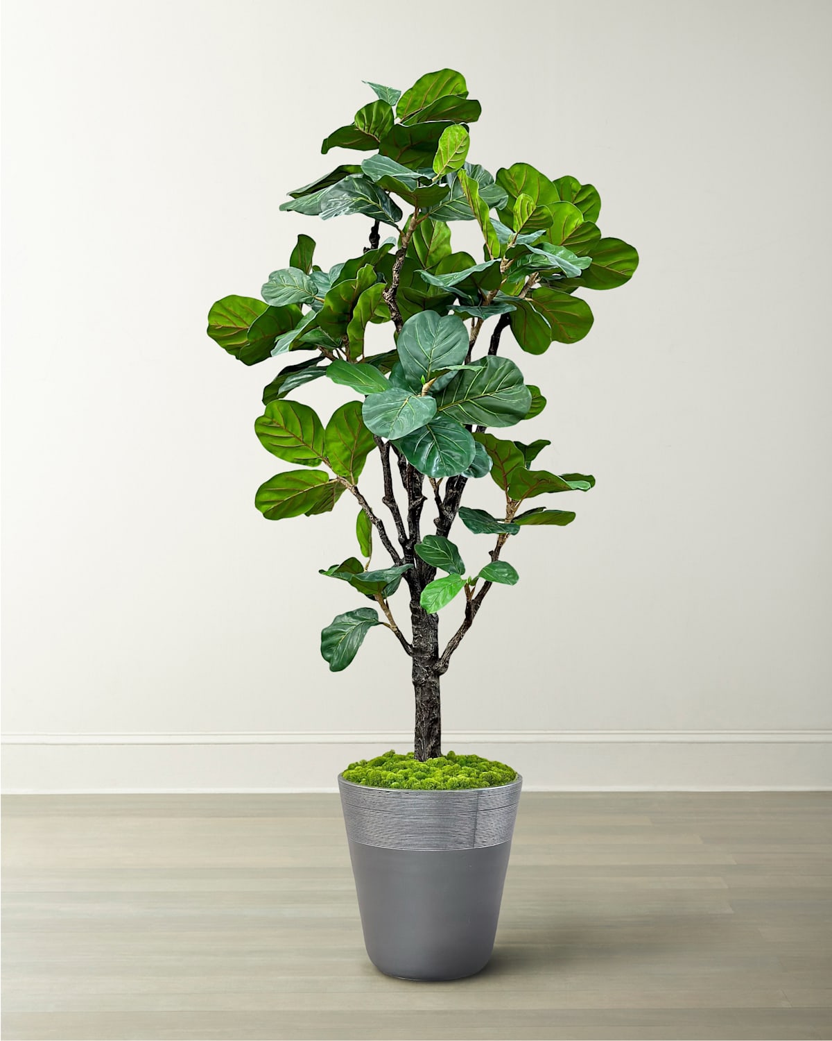 Winward Home Fiddle Leaf Tree In Planter, 96" In Green/grey
