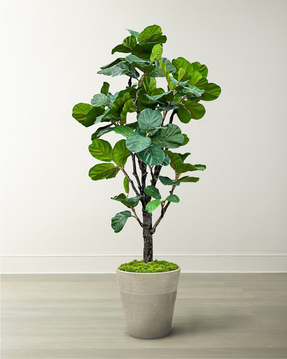Winward Home Fiddle Leaf Tree In Planter, 96" In Green Taupe