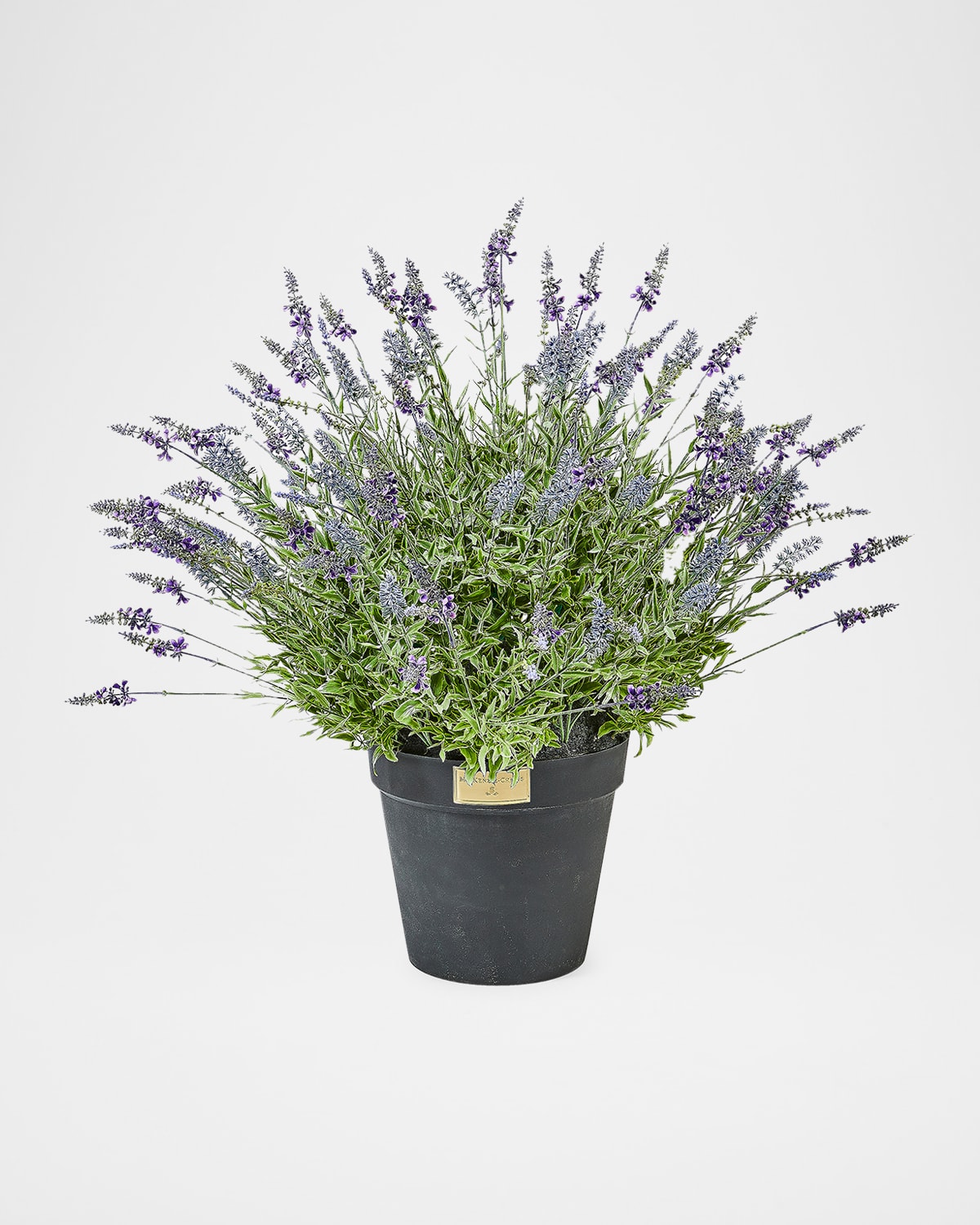 Mackenzie-childs Lavender Urn Filler