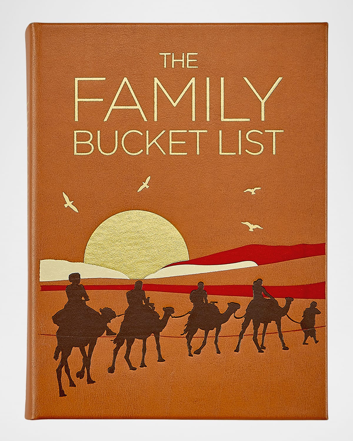Graphic Image The Family Bucket List Leather-bound Book By Nana Luckham & Kath Stathers In Tan