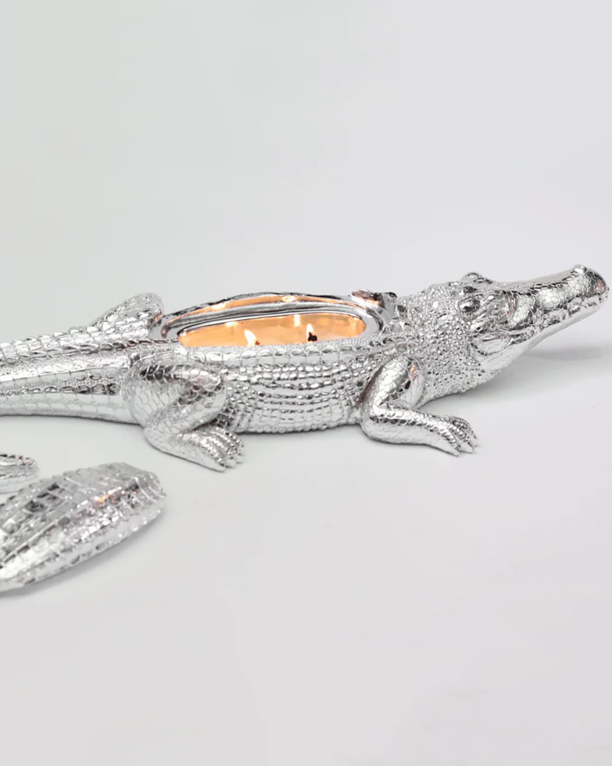 Thompson Ferrier Silvertone Grand Alligator Candle, 14 Oz. In Orange Blossom