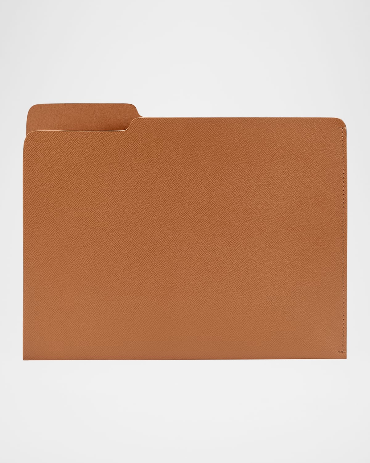 Graphic Image Men's Leather File Folder In Tan