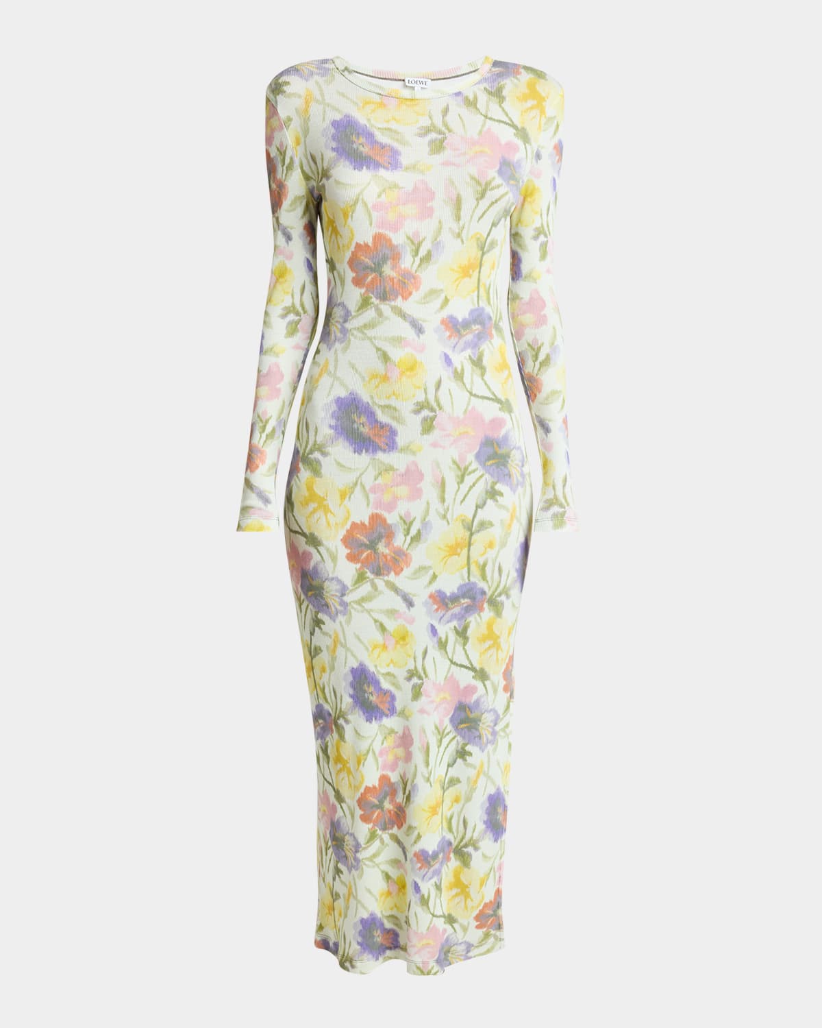 Loewe Women Morning Glory Print Cotton And Silk Multicolor Dress In Multi