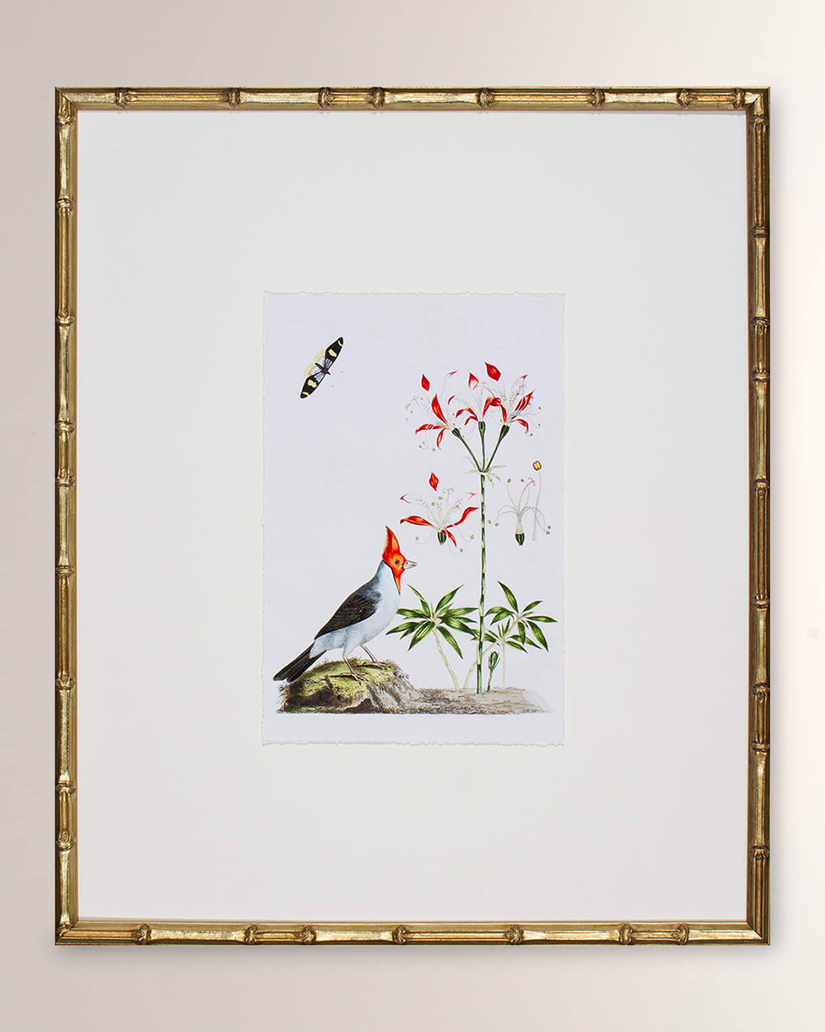 Shadow Catchers Bird Habitat I Framed Giclee