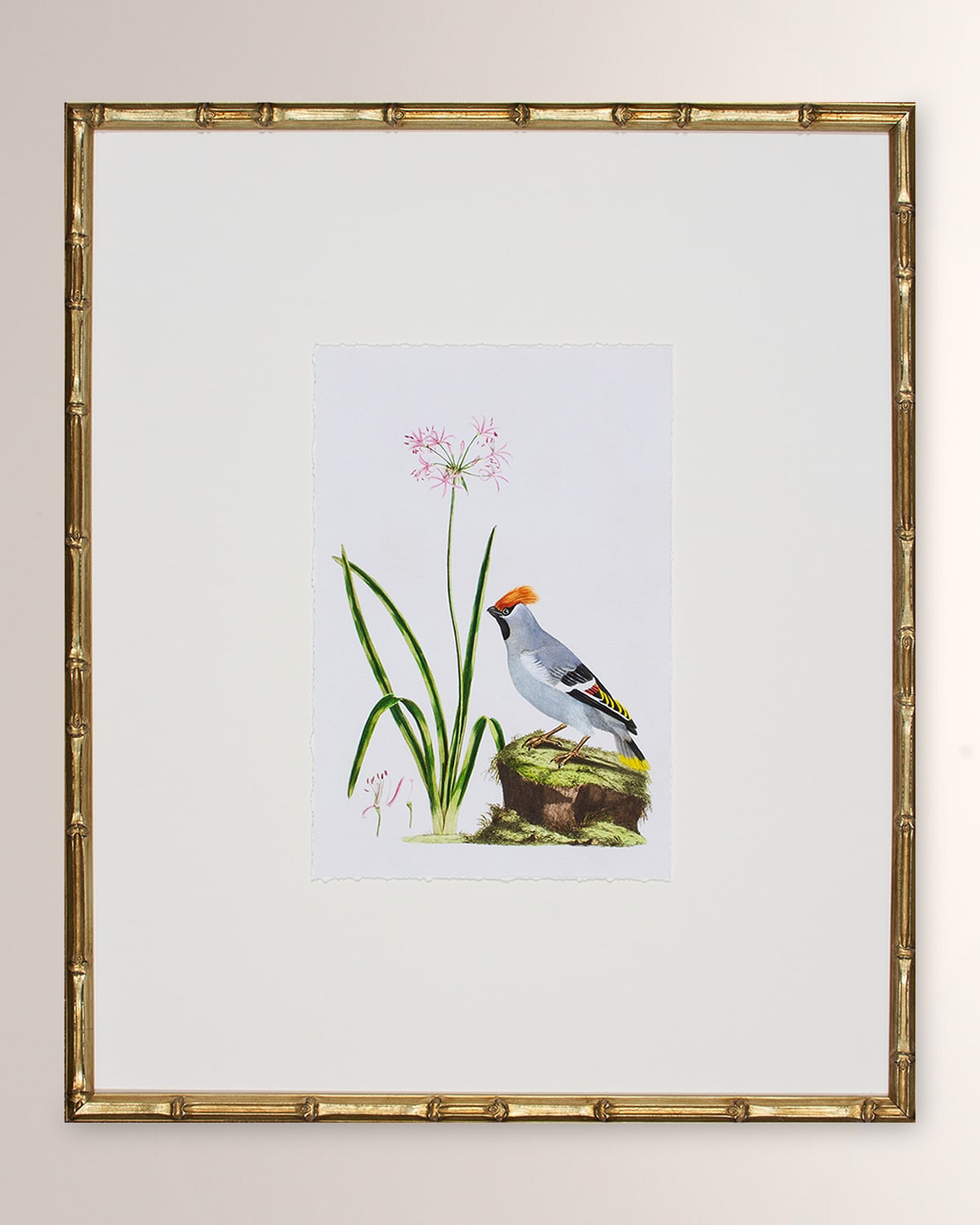 Shadow Catchers Bird Habitat Ii Framed Giclee
