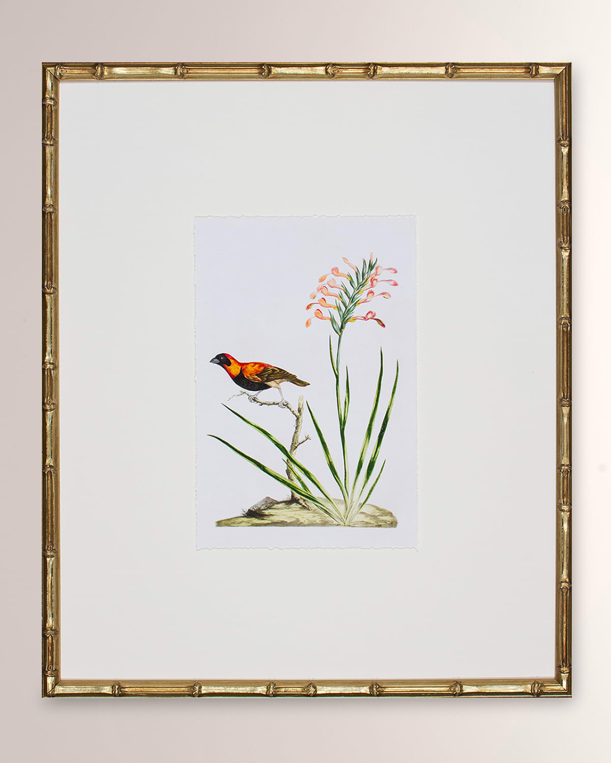 Shadow Catchers Bird Habitat Iii Framed Giclee